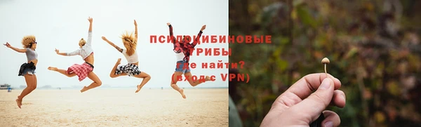 крисы Верхнеуральск